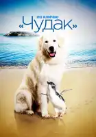  По кличке «Чудак» смотреть онлайн (2015) 